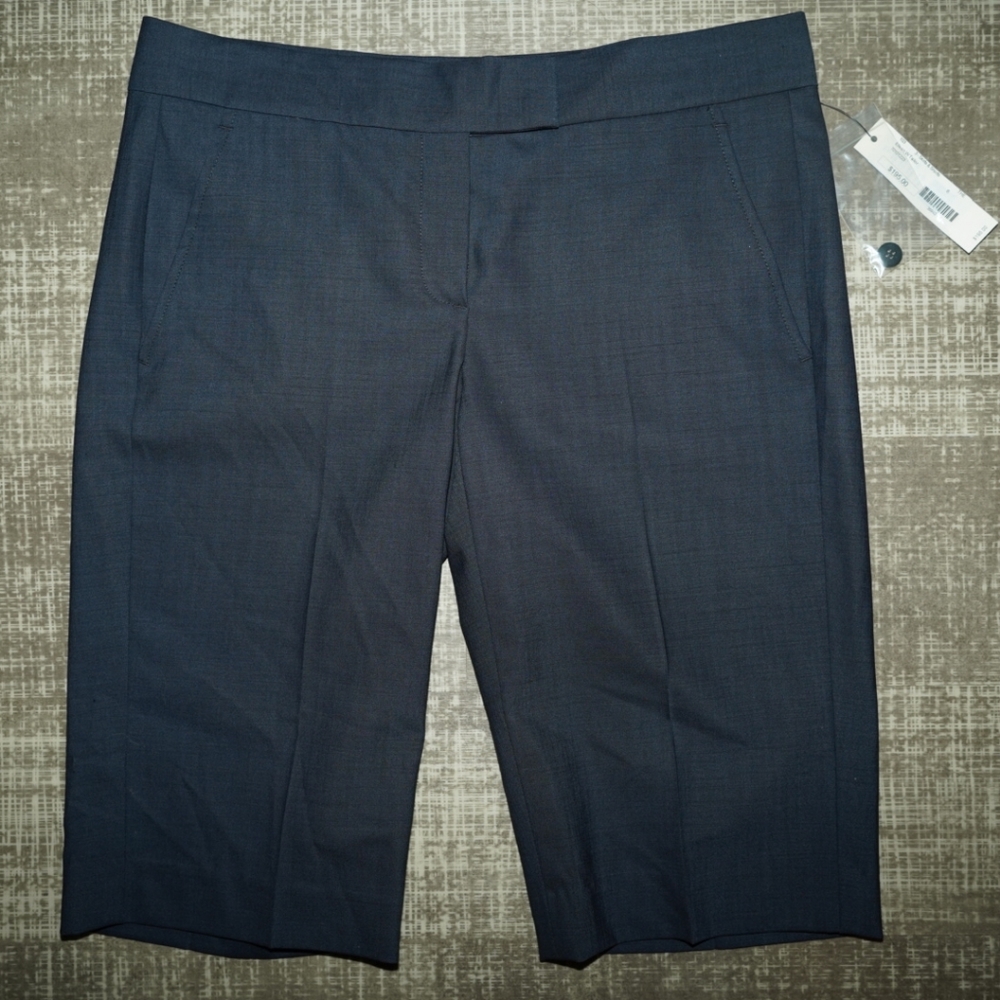 Brand New Theory Blue Shorts